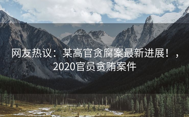 网友热议：某高官贪腐案最新进展！，2020官员贪贿案件